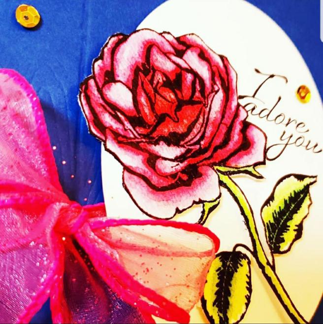 36223757_10211499524754733_8407519831925981184_n