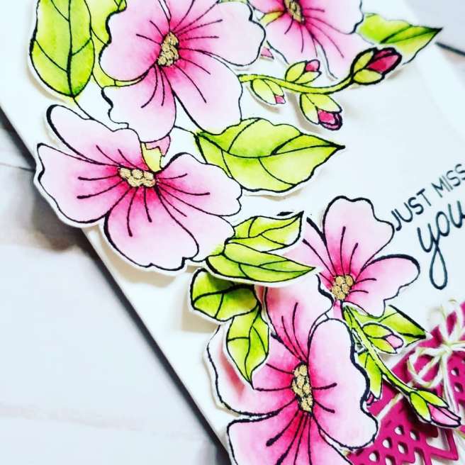 36607443_284524585431202_8590612539702771712_n