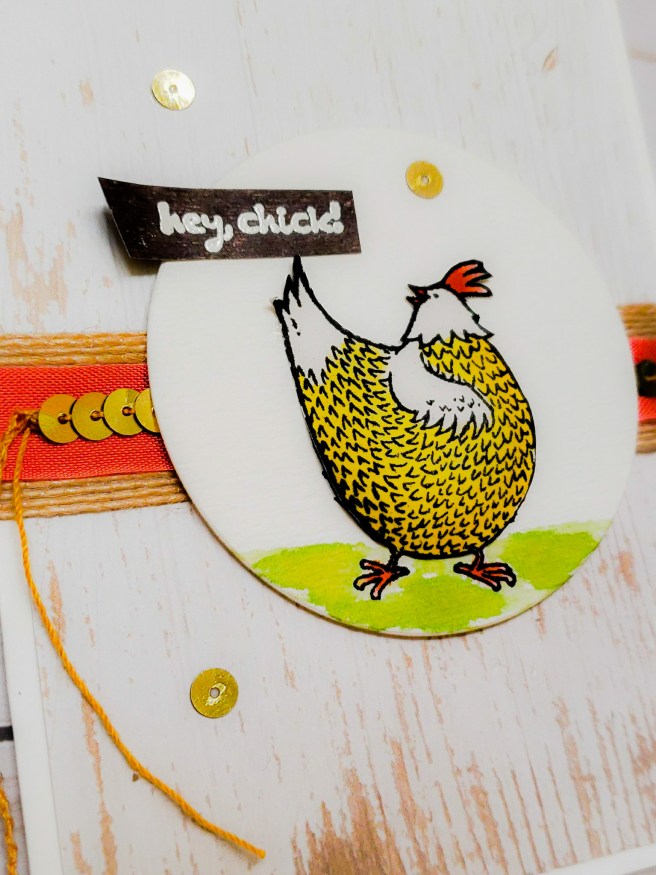 37361127_10211653926734686_4036688724690468864_n_edited_edited