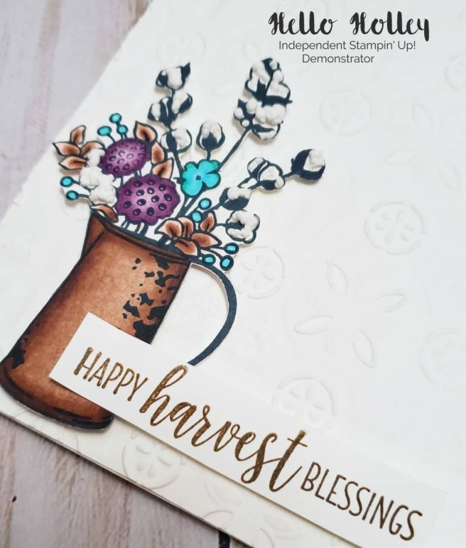 42230601_703385380018651_7545173081304596480_n(1)