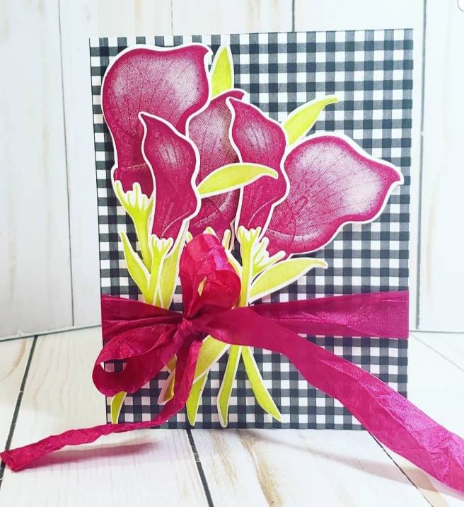 54727840_1962291777230080_7621883074111864832_n