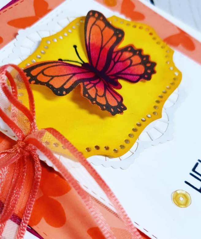 57026433_265868847624954_8427446324105838592_n