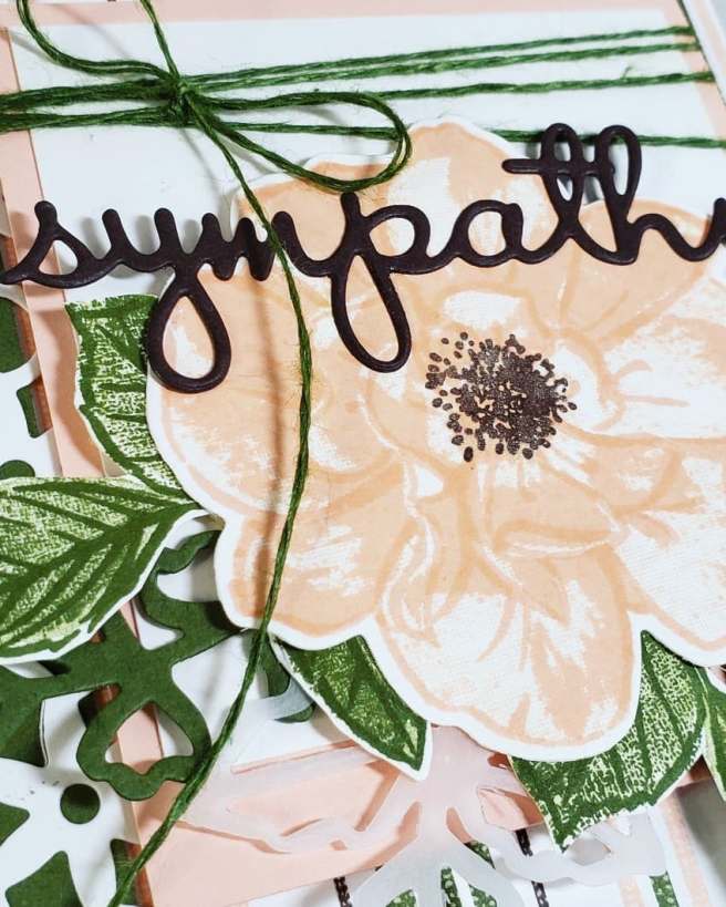 64208893_448407155947910_4168078225315987456_n