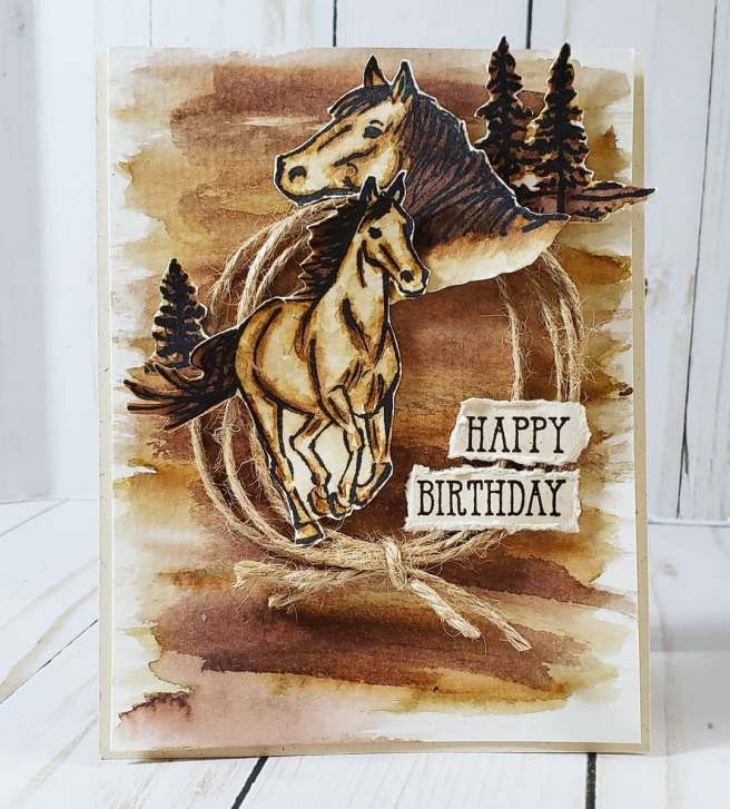 66059874_374003563300735_8078078866612027392_n