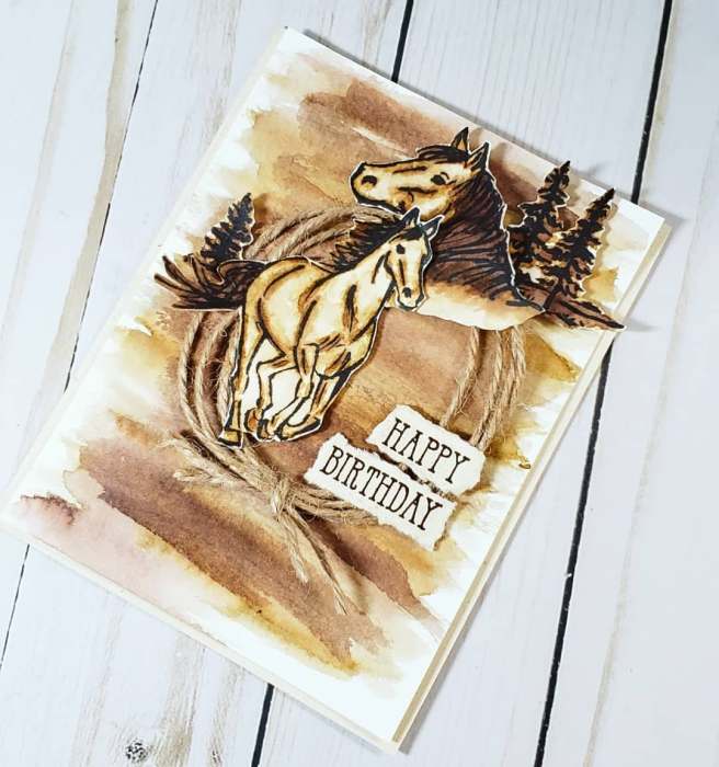 66478596_338673980412521_5136793246931877888_n