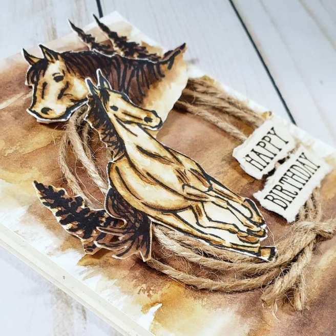 66795152_348338129166518_9101225997339983872_n