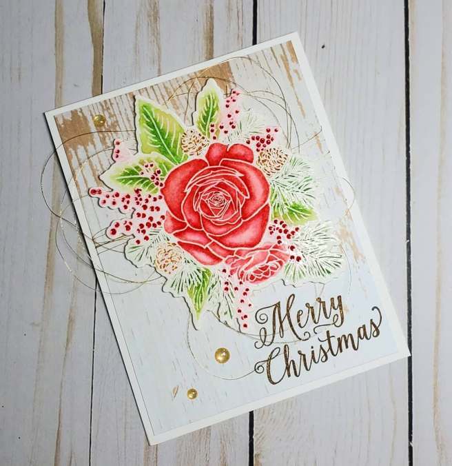 75316047_420581482170162_2375739719305658368_n