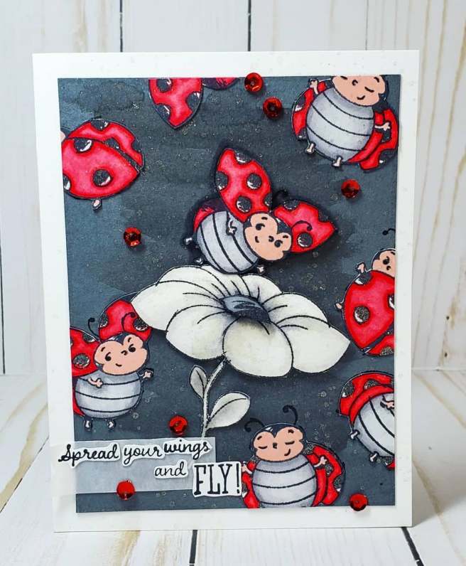 80673845_544174762843618_2145014647395188736_n