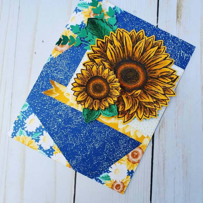 116003498_578246383078513_4764326773337694148_n