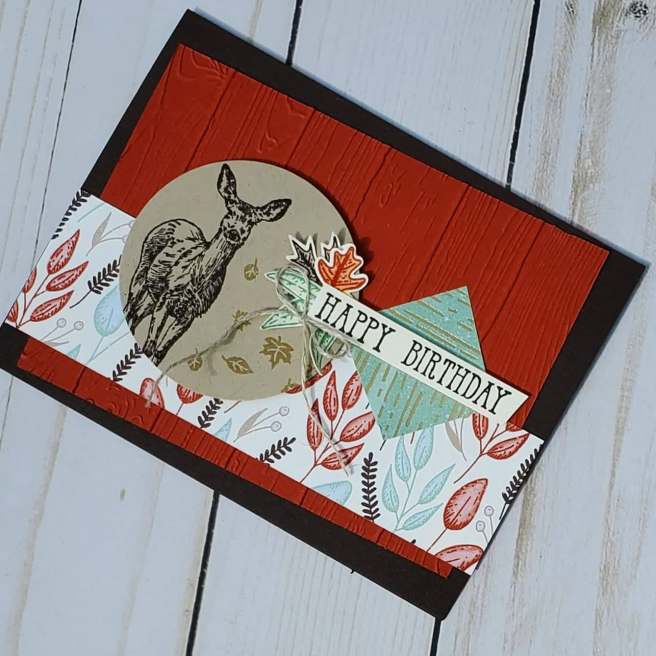 118424234_307002923907528_4897297085236087132_n